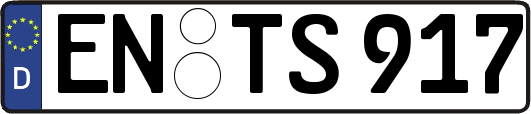 EN-TS917