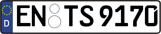 EN-TS9170