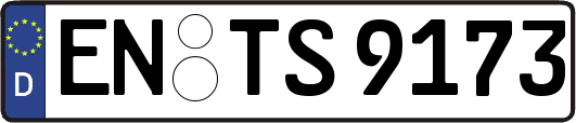 EN-TS9173