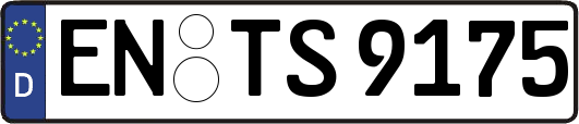 EN-TS9175