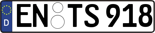 EN-TS918