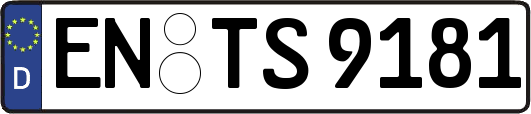 EN-TS9181