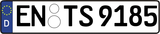 EN-TS9185