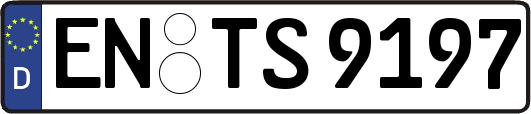EN-TS9197