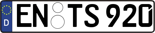EN-TS920
