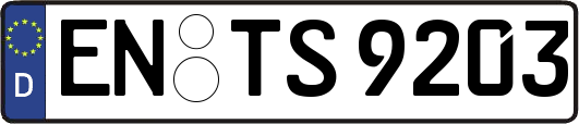 EN-TS9203