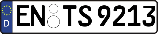EN-TS9213