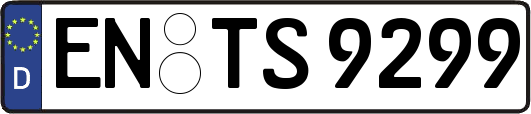 EN-TS9299