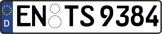 EN-TS9384