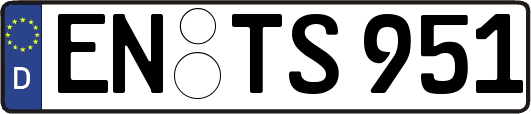 EN-TS951