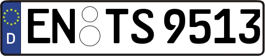 EN-TS9513