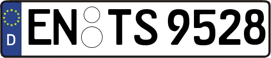 EN-TS9528
