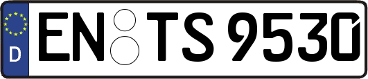 EN-TS9530