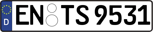 EN-TS9531