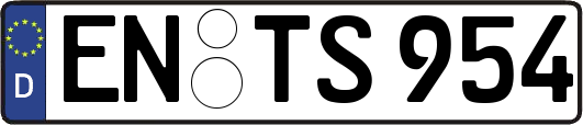 EN-TS954