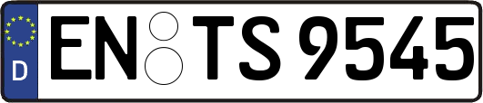 EN-TS9545