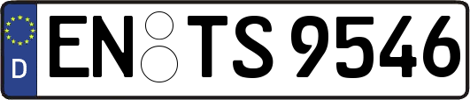 EN-TS9546