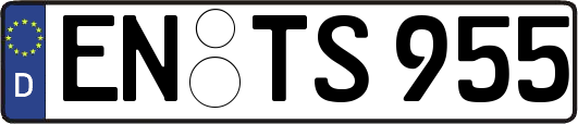 EN-TS955