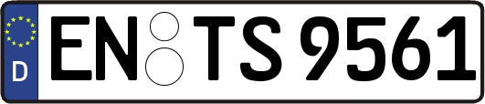 EN-TS9561