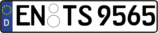 EN-TS9565