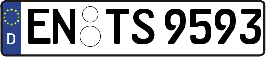EN-TS9593