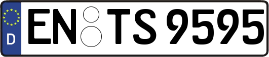 EN-TS9595