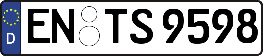 EN-TS9598
