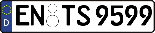 EN-TS9599