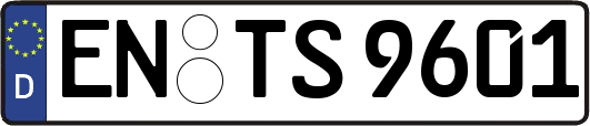 EN-TS9601