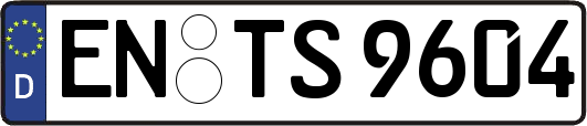 EN-TS9604