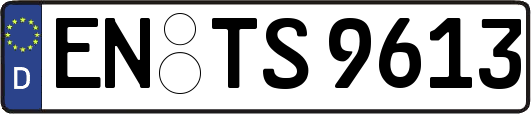 EN-TS9613