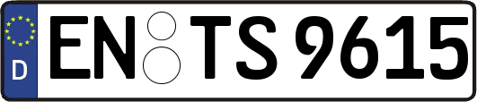 EN-TS9615