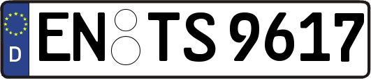 EN-TS9617