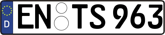 EN-TS963