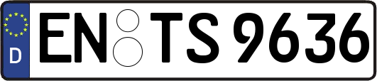 EN-TS9636