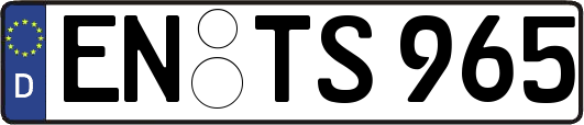 EN-TS965