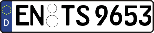 EN-TS9653