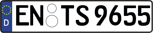 EN-TS9655