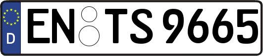 EN-TS9665