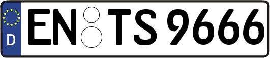 EN-TS9666
