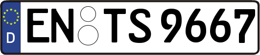 EN-TS9667