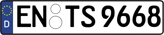 EN-TS9668