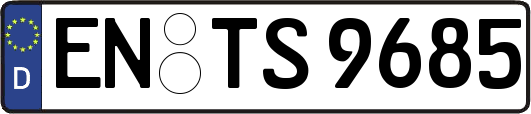 EN-TS9685