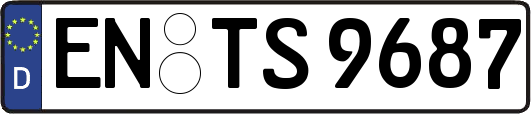 EN-TS9687