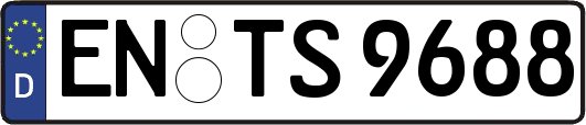 EN-TS9688