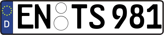EN-TS981