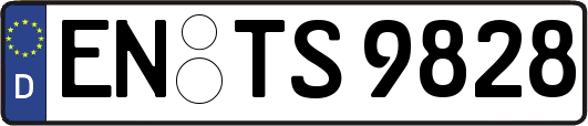 EN-TS9828