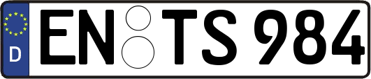 EN-TS984