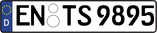 EN-TS9895