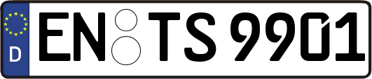 EN-TS9901